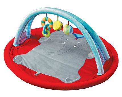 Mini Gym Baby Toy