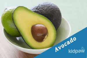 avocado