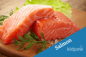 salmon