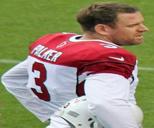 Carson Palmer