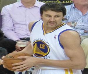 Andrew Bogut