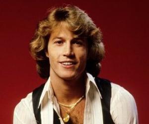 Andy Gibb