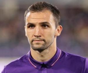 Milan Badelj