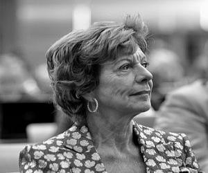 Neelie Kroes