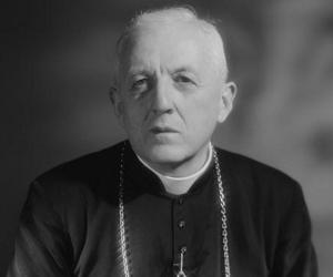 François Cardinal Marty