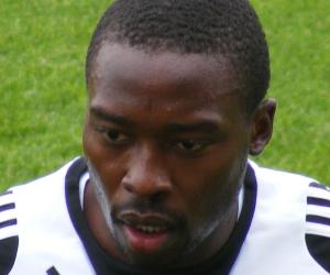 Shola Ameobi