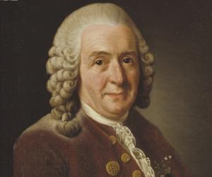 Carolus Linnaeus