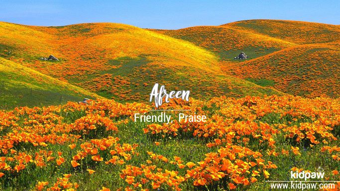 Afreen 3D Name Wallpaper for Mobile, Write آفریں Name on Photo Online