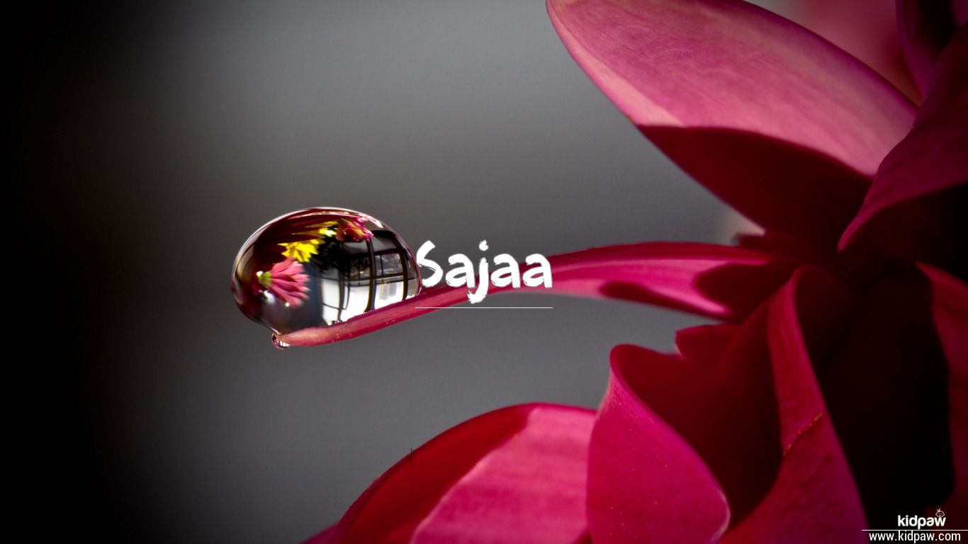 Sajaa Name Meaning in English & Urdu, Origin, Luck Number